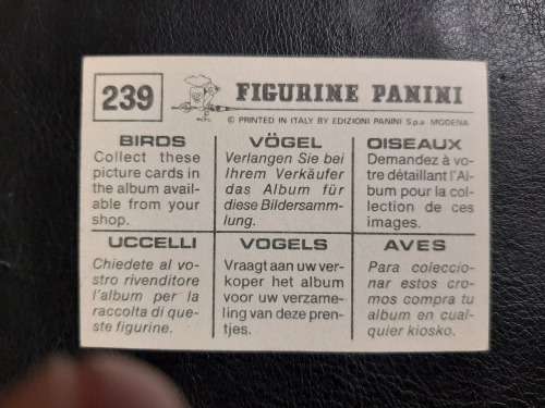 Figurine Panini Birds Sticker #239 (1979)