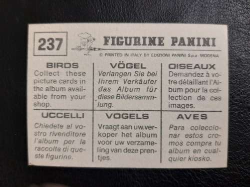 Figurine Panini Birds Sticker #237 (1979)