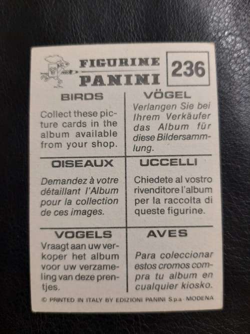 Figurine Panini Birds Sticker #236 (1979)