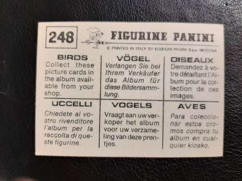 Figurine Panini Birds Sticker #248 (1979)