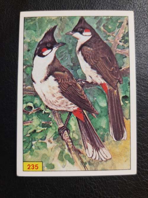 Figurine Panini Birds Sticker #235 (1979)