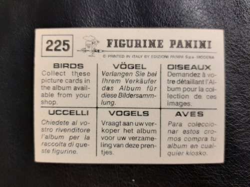 Figurine Panini Birds Sticker #225 (1979)