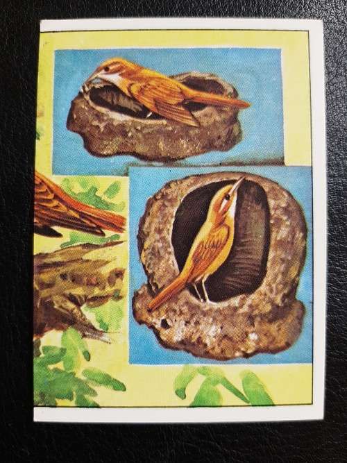 Figurine Panini Birds Sticker #222 (1979)
