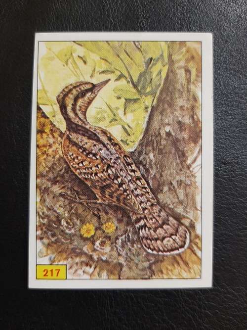 Figurine Panini Birds Sticker #217 (1979)