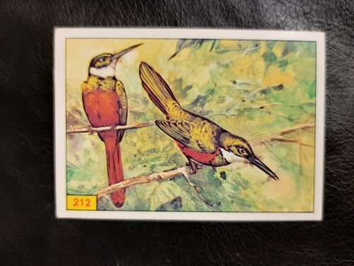 Figurine Panini Birds Sticker #212 (1979)
