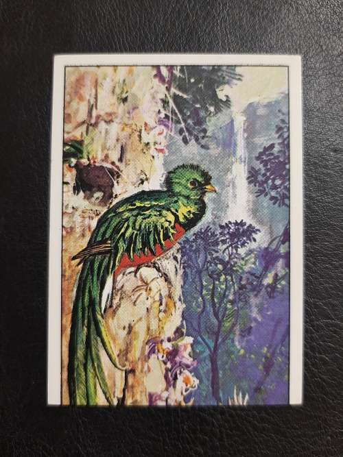 Figurine Panini Birds Sticker #202 (1979)