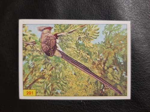 Figurine Panini Birds Sticker #201 (1979)