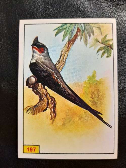 Figurine Panini Birds Sticker #197 (1979)