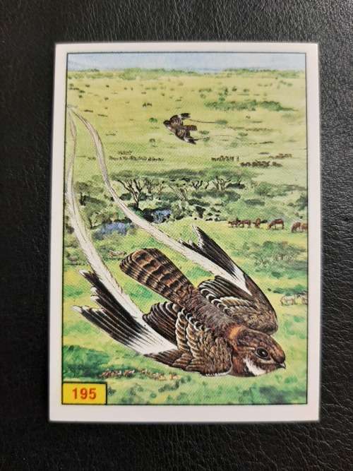 Figurine Panini Birds Sticker #195 (1979)