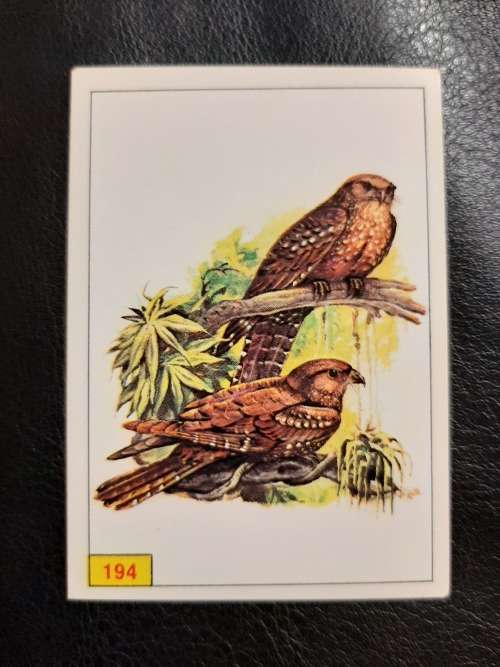 Figurine Panini Birds Sticker #194 (1979)