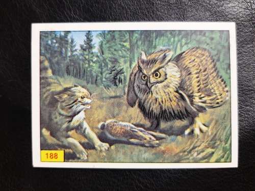 Figurine Panini Birds Sticker #188 (1979)