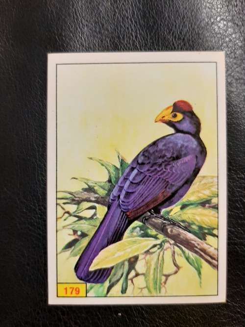 Figurine Panini Birds Sticker #179 (1979)