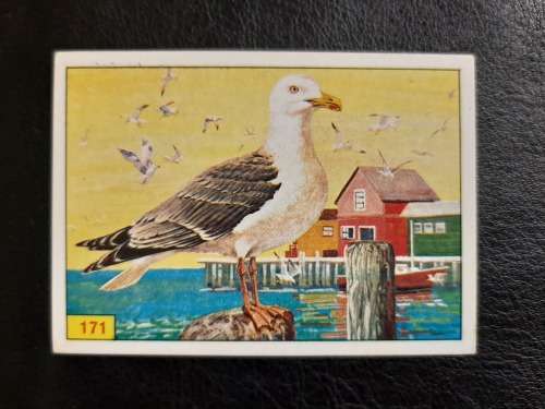 Figurine Panini Birds Sticker #171 (1979)