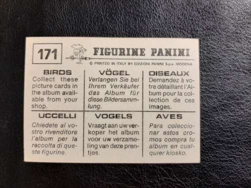 Figurine Panini Birds Sticker #171 (1979)