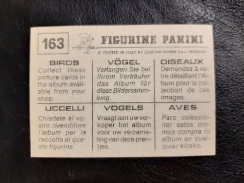Figurine Panini Birds Sticker #163 (1979)