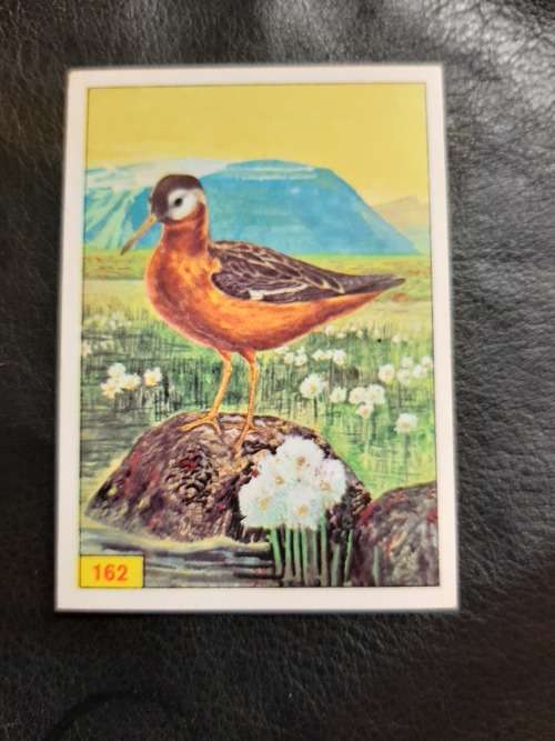 Figurine Panini Birds Sticker #162 (1979)