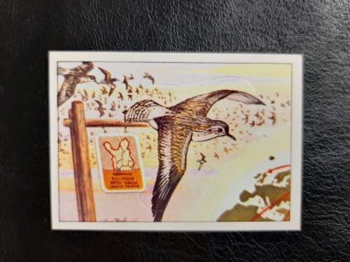 Figurine Panini Birds Sticker #156 (1979)