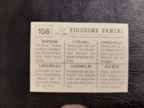 Figurine Panini Birds Sticker #156 (1979)