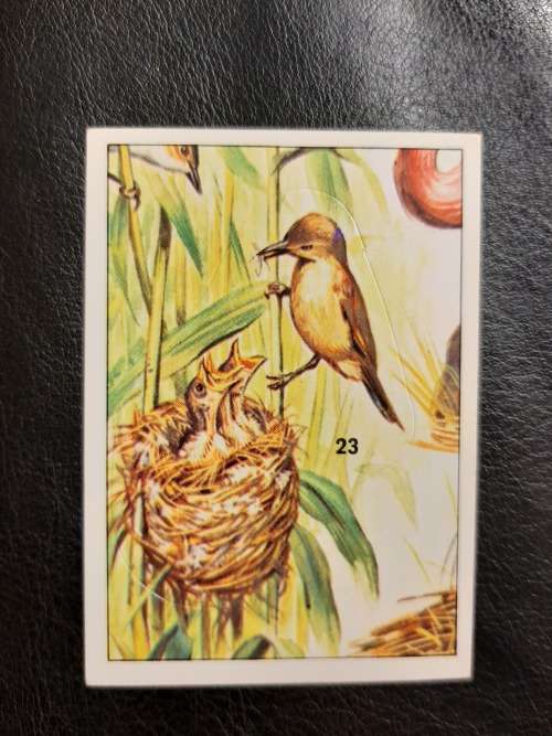 Figurine Panini Birds Sticker #153 (1979)