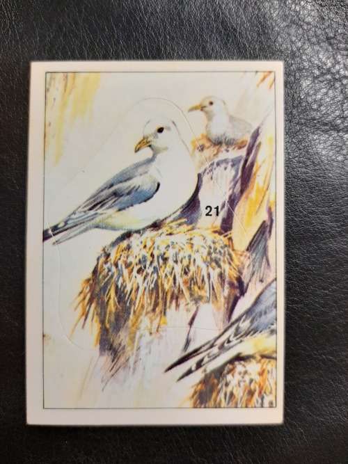 Figurine Panini Birds Sticker #151 (1979)