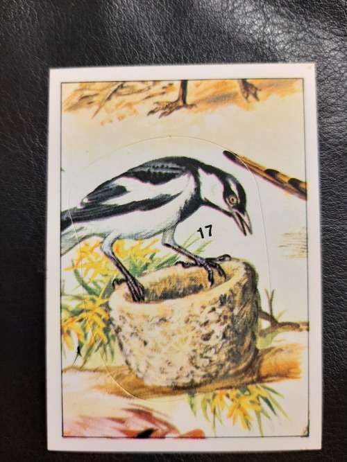 Figurine Panini Birds Sticker #149 (1979)