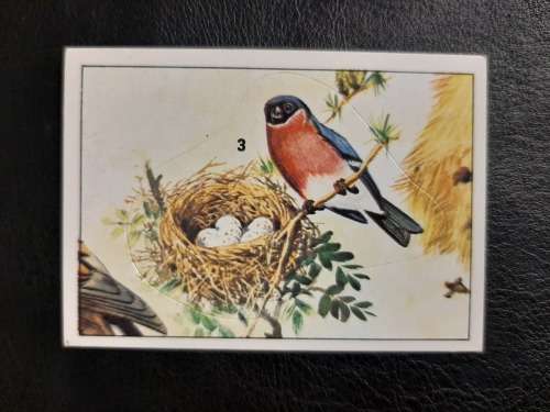 Figurine Panini Birds Sticker #141 (1979)