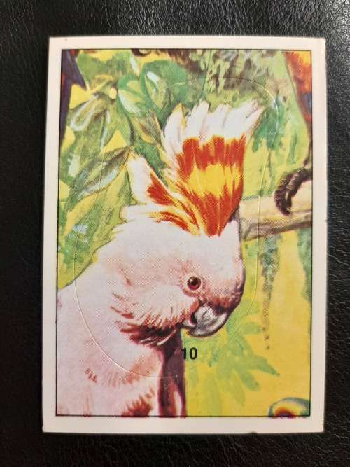 Figurine Panini Birds Sticker #139 (1979)