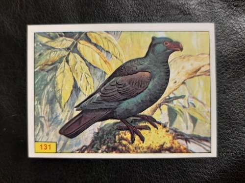 Figurine Panini Birds Sticker #131 (1979)