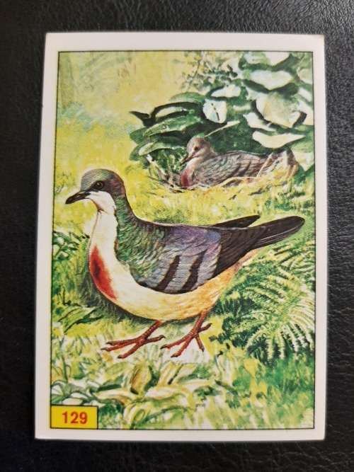 Figurine Panini Birds Sticker #129 (1979)