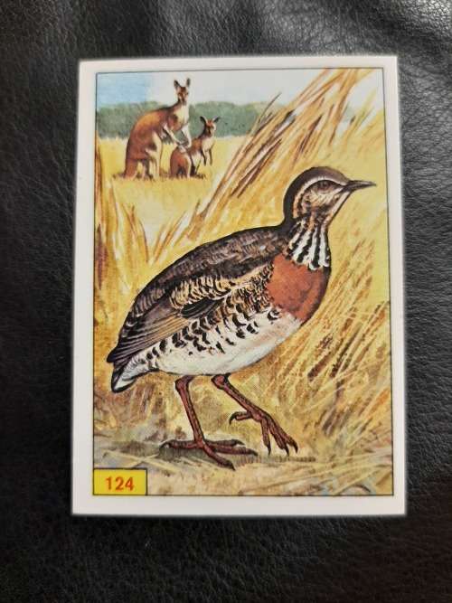 Figurine Panini Birds Sticker #124 (1979)