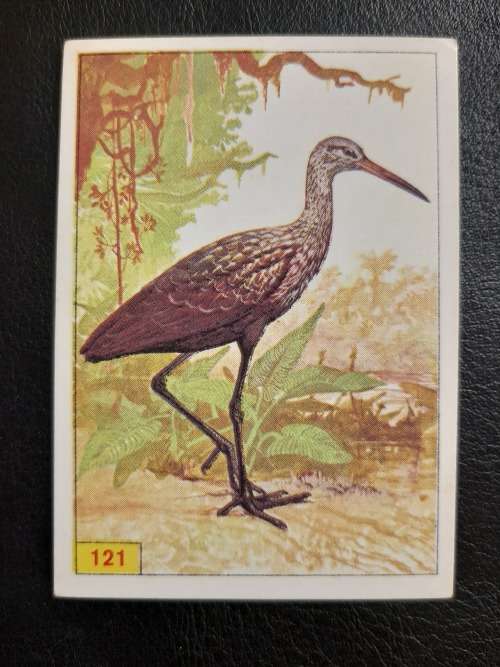 Figurine Panini Birds Sticker #121 (1979)