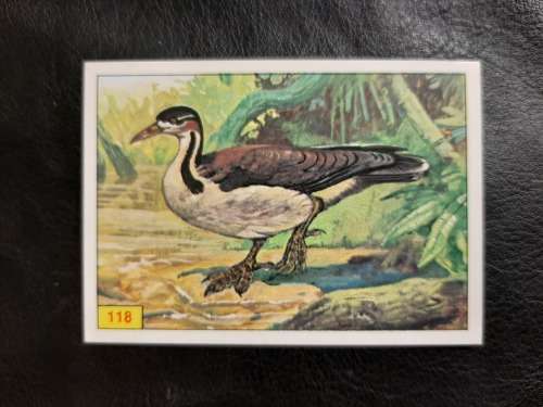 Figurine Panini Birds Sticker #124 (1979)