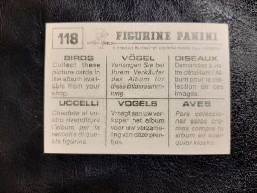 Figurine Panini Birds Sticker #124 (1979)