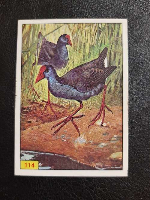 Figurine Panini Birds Sticker #114 (1979)