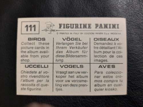 Figurine Panini Birds Sticker #111(1979)
