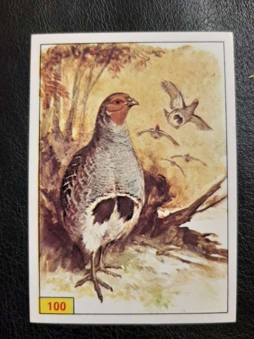 Figurine Panini Birds Sticker #100 (1979)