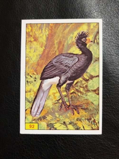Figurine Panini Birds Sticker #92 (1979)