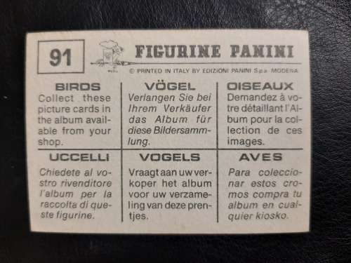 Figurine Panini Birds Sticker #91 (1979)