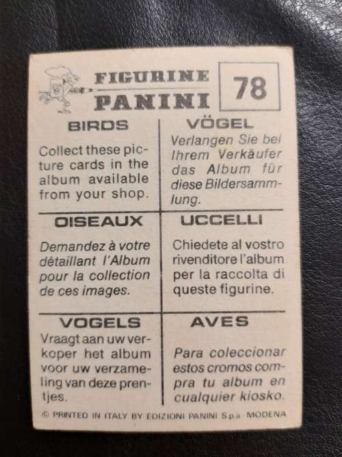 Figurine Panini Birds Sticker #78 (1979)