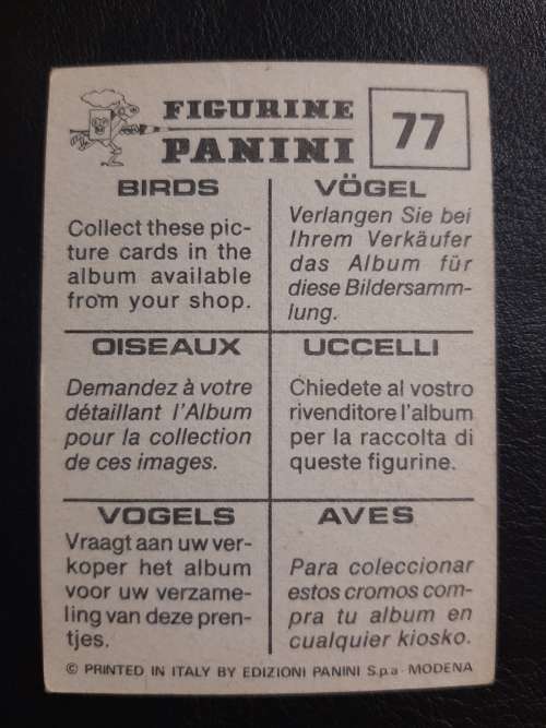 Figurine Panini Birds Sticker #77 (1979)