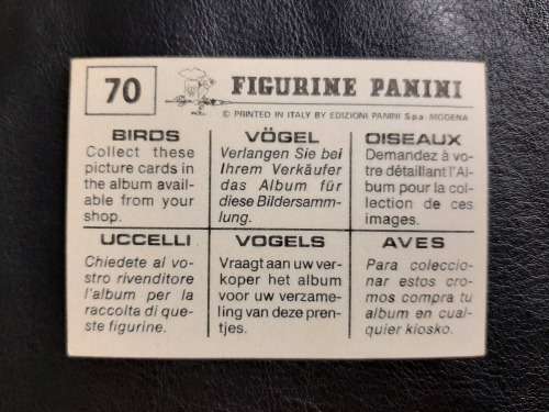 Figurine Panini Birds Sticker #70 (1979)