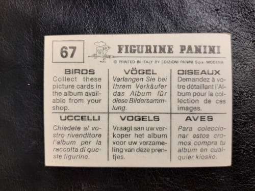 Figurine Panini Birds Sticker #67 (1979)