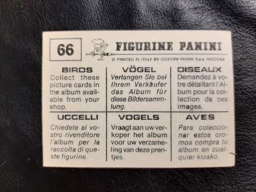 Figurine Panini Birds Sticker #66 (1979)
