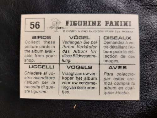 Figurine Panini Birds Sticker #56 (1979)