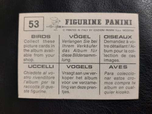 Figurine Panini Birds Sticker #53 (1979)