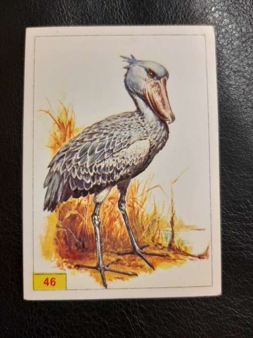 Figurine Panini Birds Sticker #46 (1979)