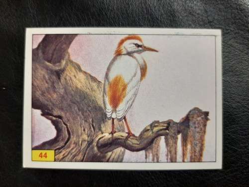 Figurine Panini Birds Sticker #44 (1979)