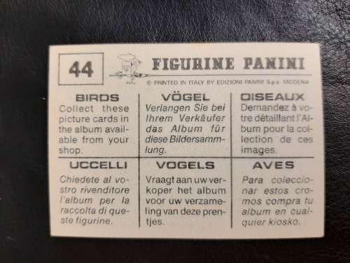 Figurine Panini Birds Sticker #44 (1979)