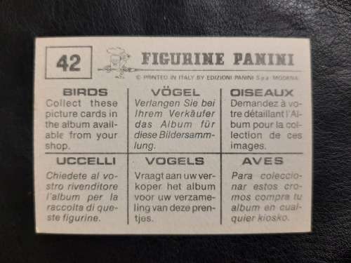 Figurine Panini Birds Sticker #42 (1979)
