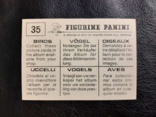 Figurine Panini Birds Sticker #35 (1979)